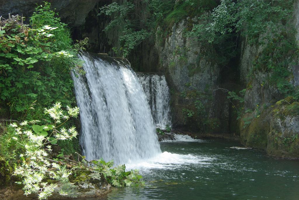 Les Grands Goulets Acomodação com café da manhã La Chapelle-en-Vercors Exterior foto
