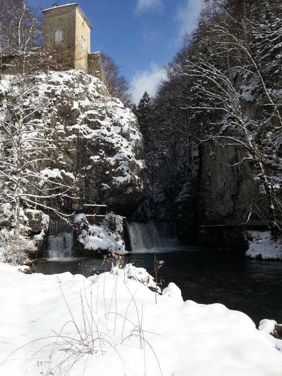 Les Grands Goulets Acomodação com café da manhã La Chapelle-en-Vercors Exterior foto